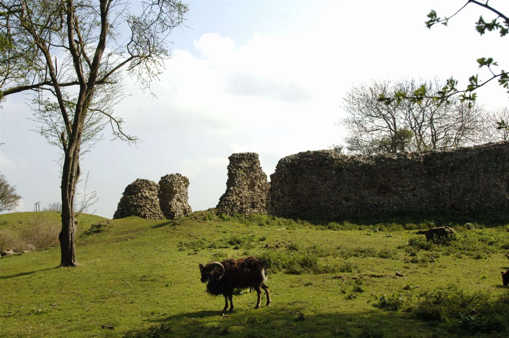 Thurnham castle Picture: John Wardley