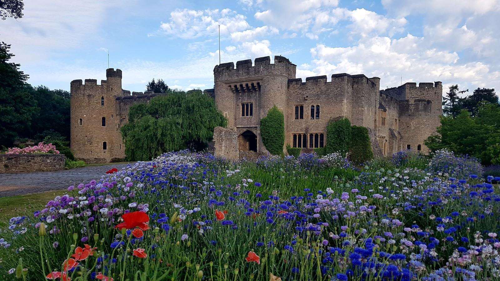 Allington Castle in Maidstone hosted the launch event