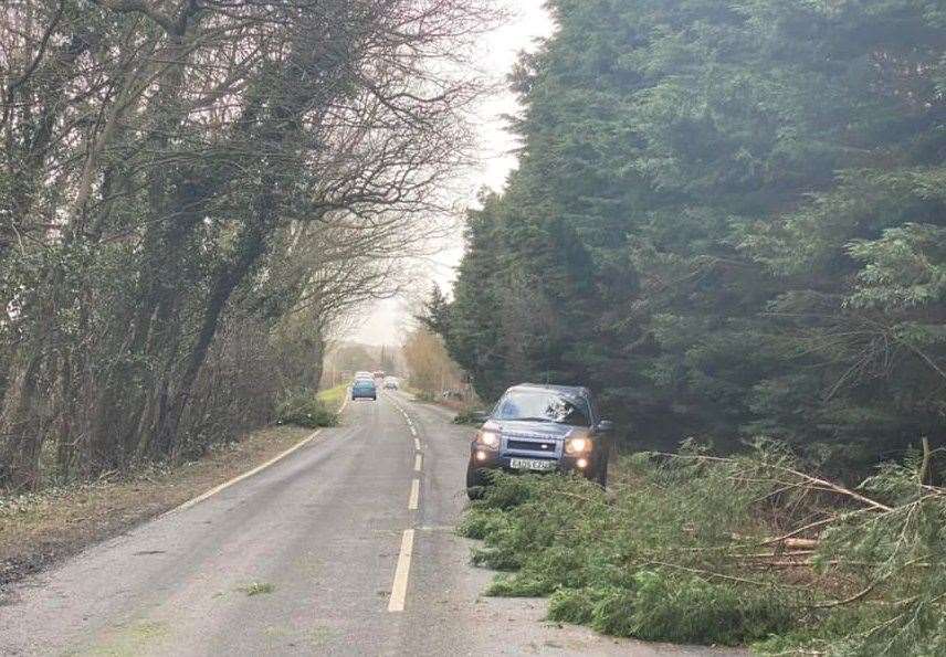 Luke Eastwood helped cut away fallen trees in and around Staplehurst Picture: Luke Eastwood