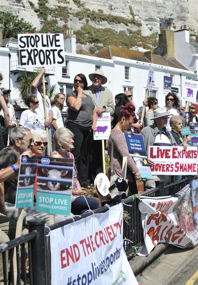 Protesters demonstrating against live animal exports at Dover docks