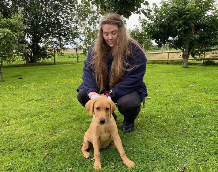 Mel Herbert is Swale Borough Council's dog warden. Picture: Swale Council