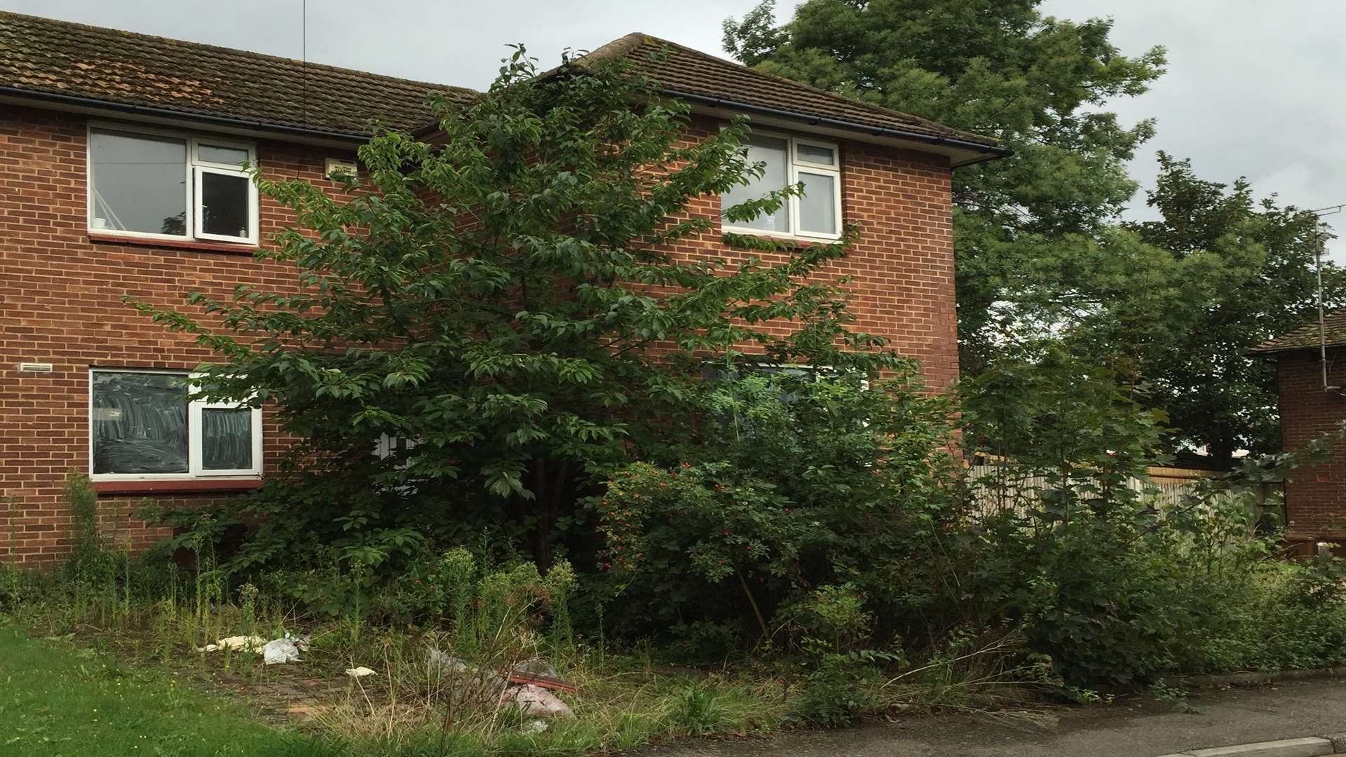 The overgrown garden before it had been cleared.