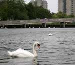 Southmere Lake in Thamesmead