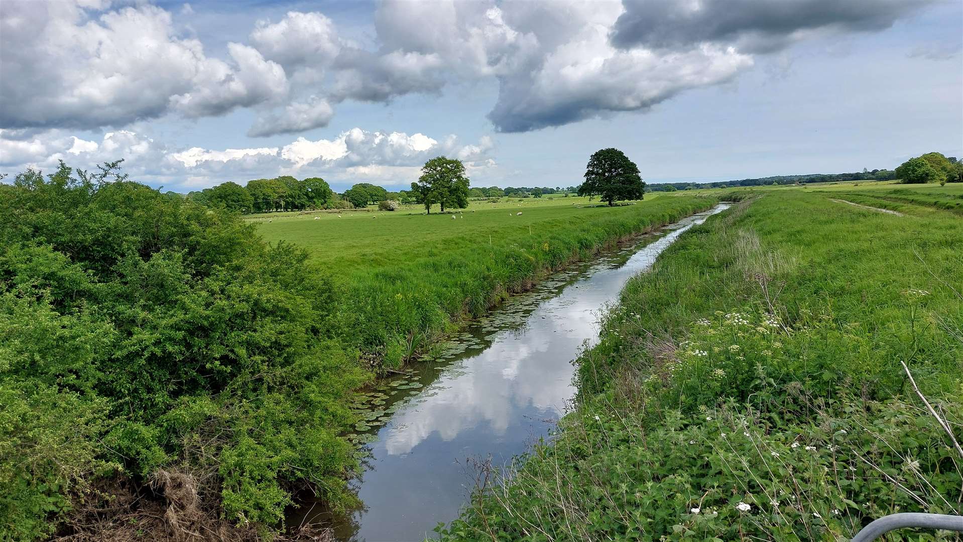 The Hexden Channel has seen a number of spills from wastewater and sewage works in Hawkhurst