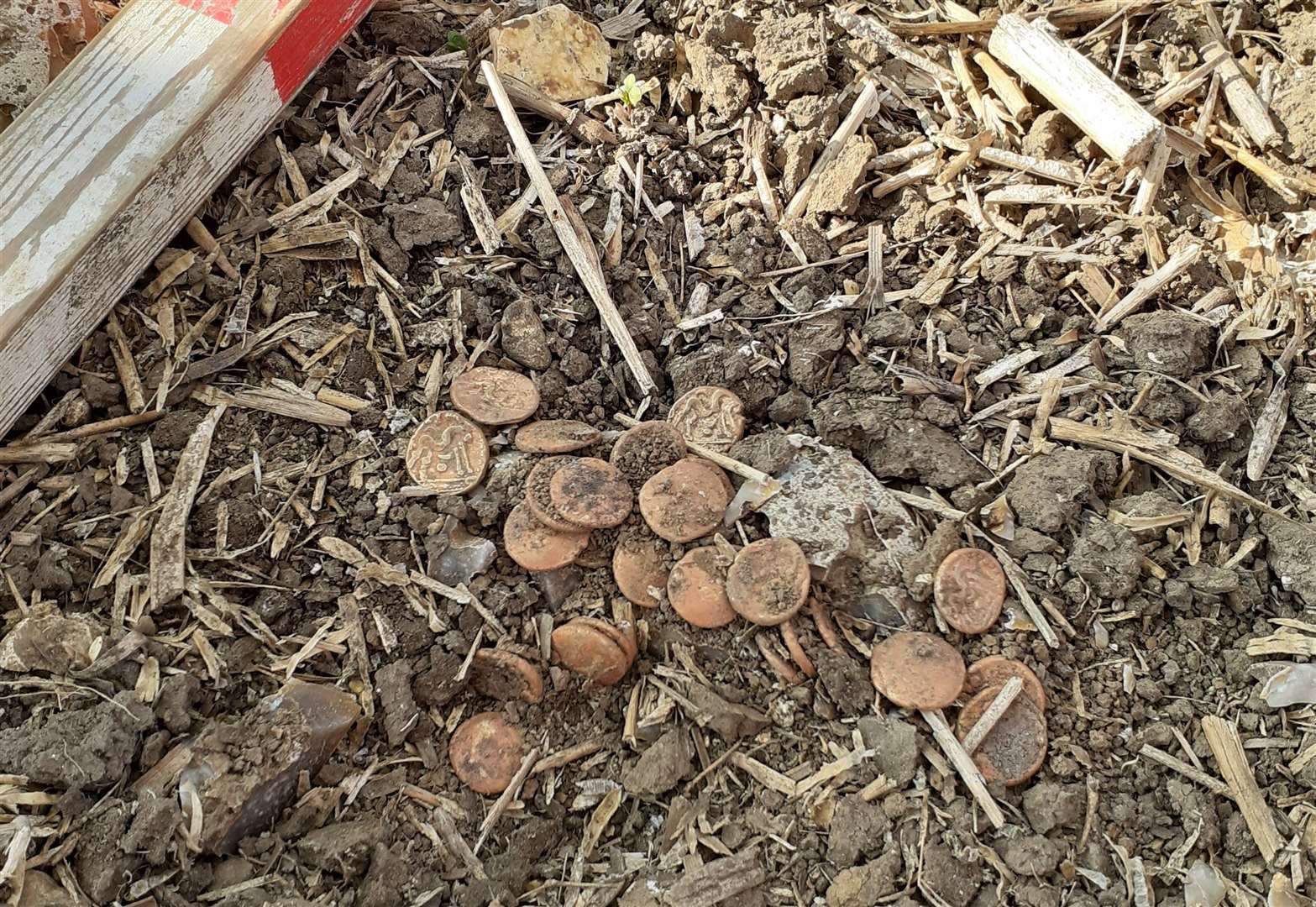 The coins were found in a field that had recently been ploughed. Picture: Tony Asquith