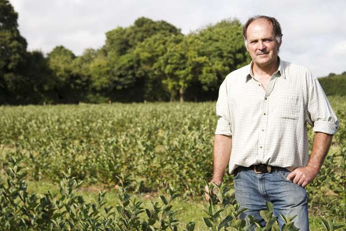 Andrew Tickle in his berry-growing fields.