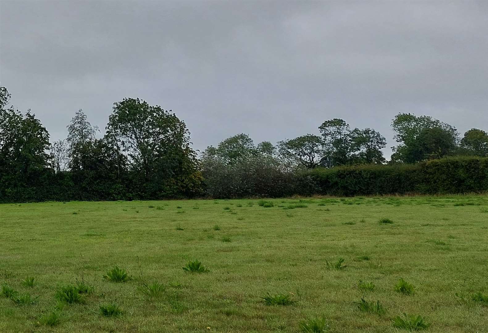 Part of the 102-acre site off Steeds Lane in Kingsnorth