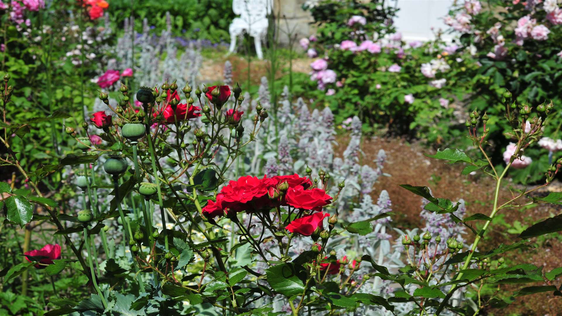 Scent is king at Chiddingstone Castle