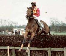 ohn Hickman and No Justice clear a fence on their way to victory in the inaugural Kent Grand National at Detling in 1983