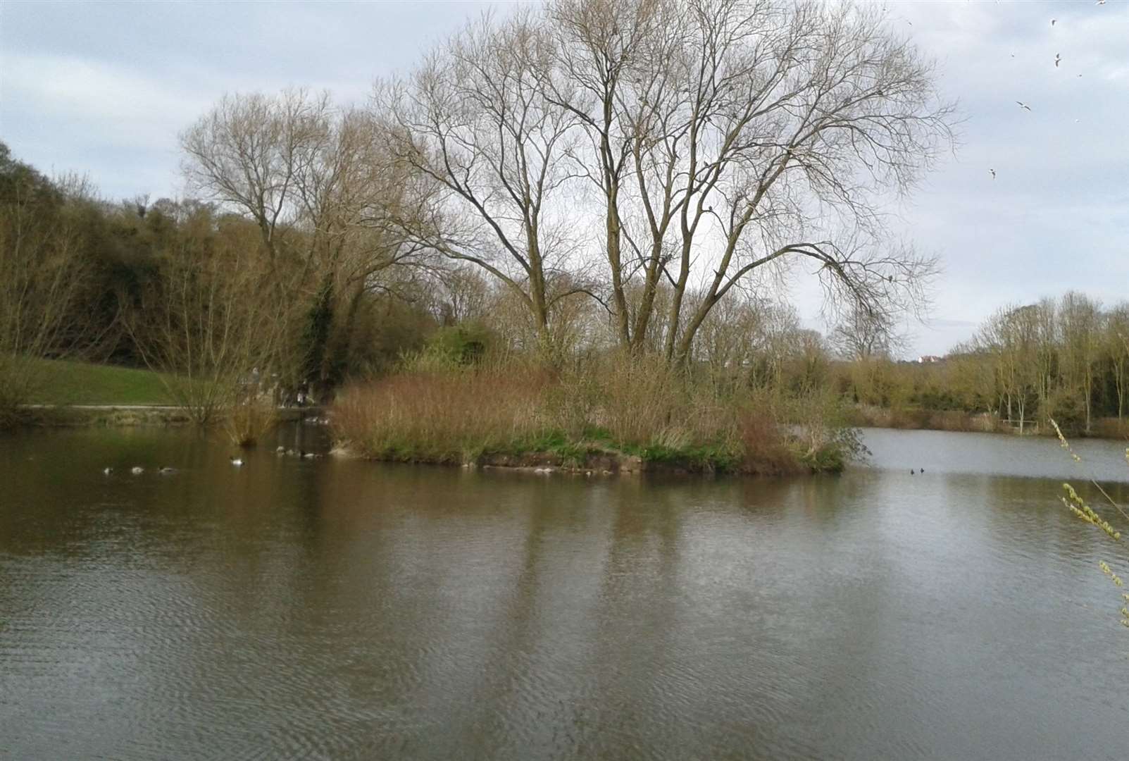 Beauty spot - Capstone Farm Country Park