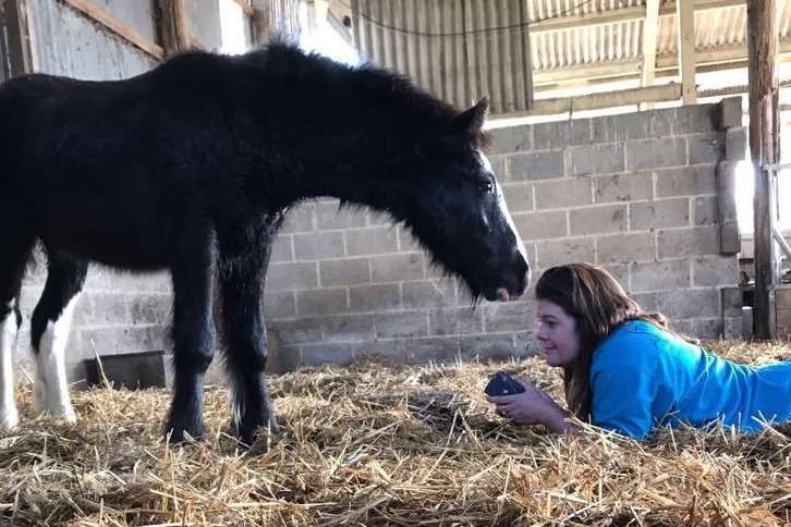 Fred tries to engage with one of the nervous foals