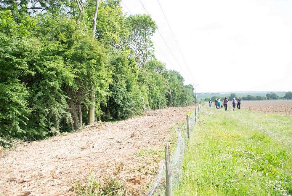 A group of dog walkers are concerned the cutting down of trees has destroyed some of the wildlife