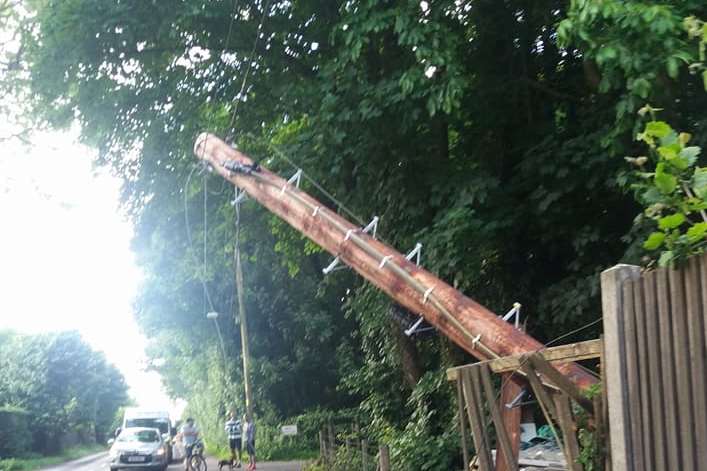 The telegraph pole was knocked down. Picture Florence Thomas.