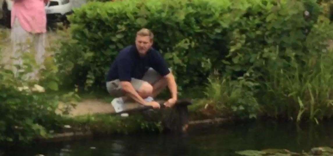 Fisherman Brad Voak attempts to rescue some of the fish from Holborough Lakes. Picture: Brad Voak