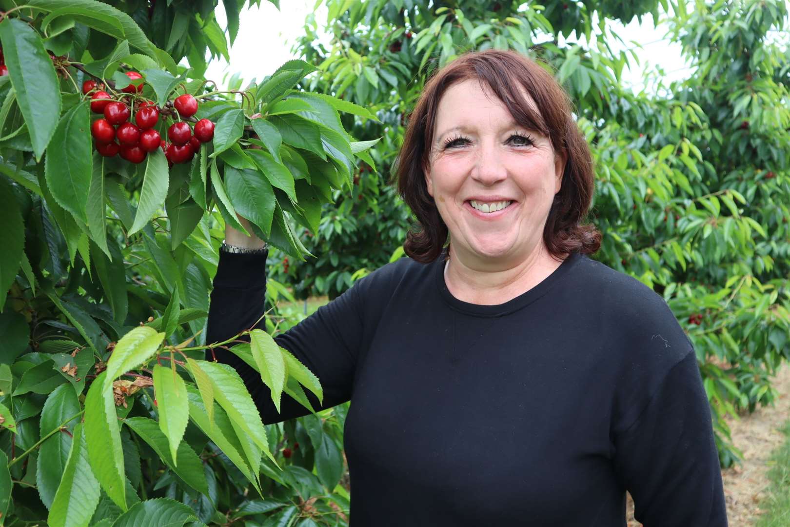 Sittingbourne cherry farmer Sarah Neaves at Little Sharsted Farm. Picture: John Nurden