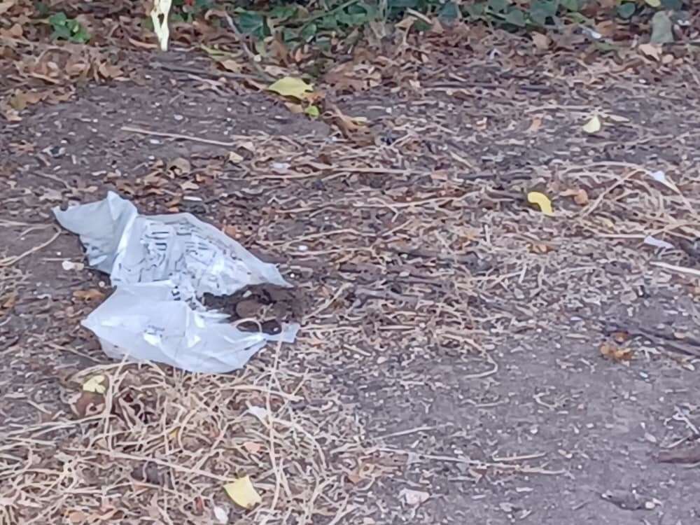 Faeces was found at Pottery Road Recreation Ground in Hoo after travellers arrived on Friday. Picture: Hoo and St Werburgh Parish Council