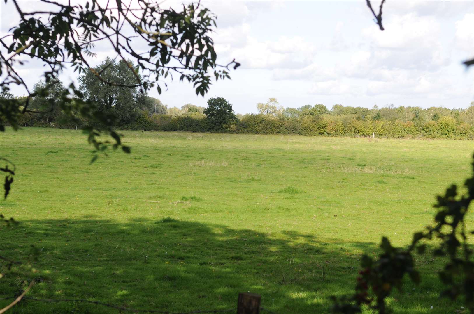 Field in Pound Lane, Kingsnorth, alongside Ashford Road where the houses will be built. Picture: Wayne McCabe