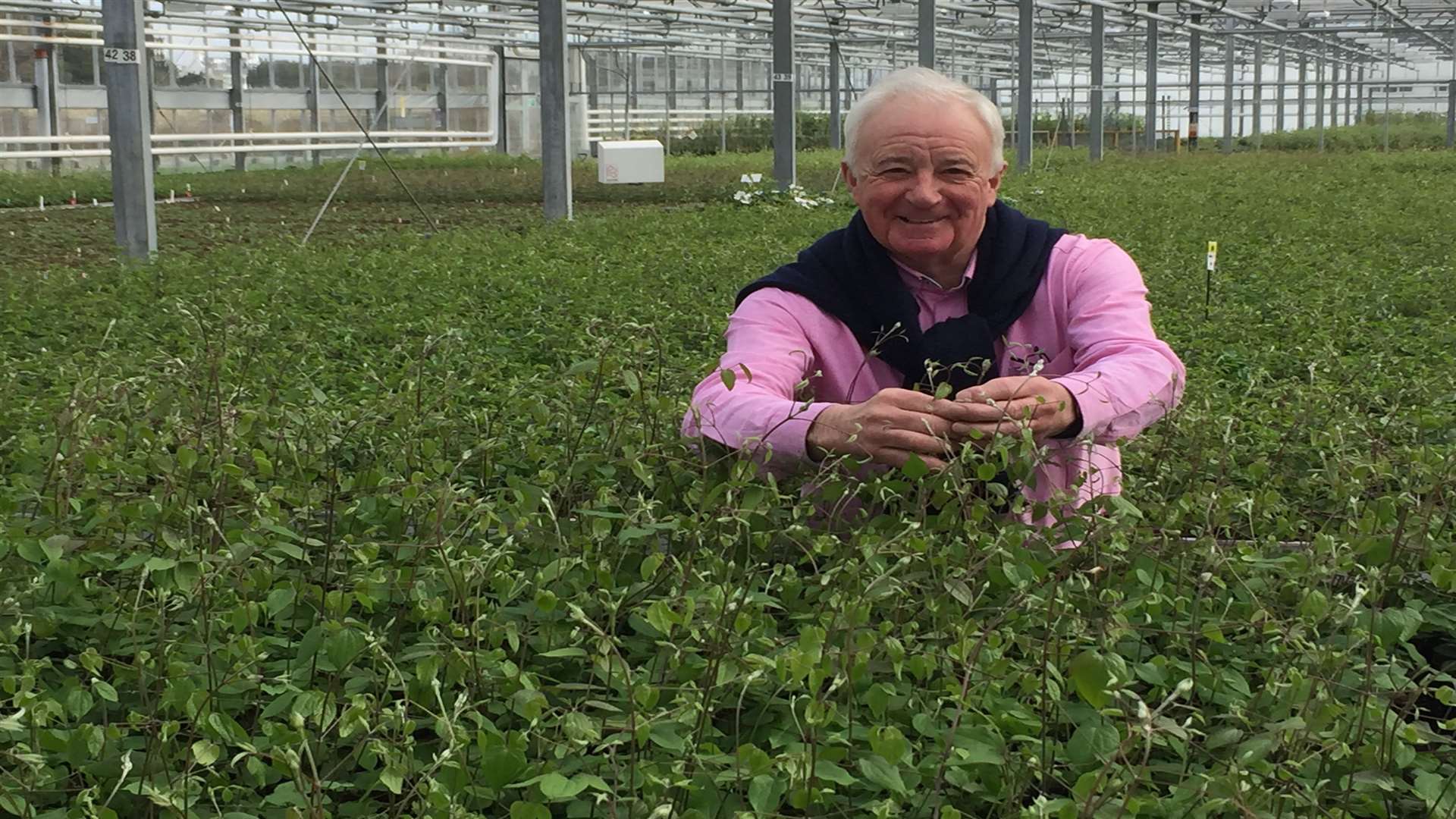 Raymond Evison in his vast greenhouses