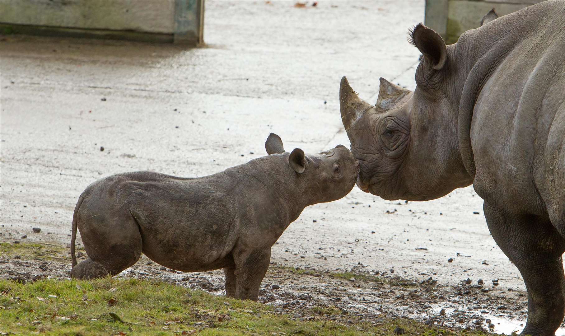 Port Lympne