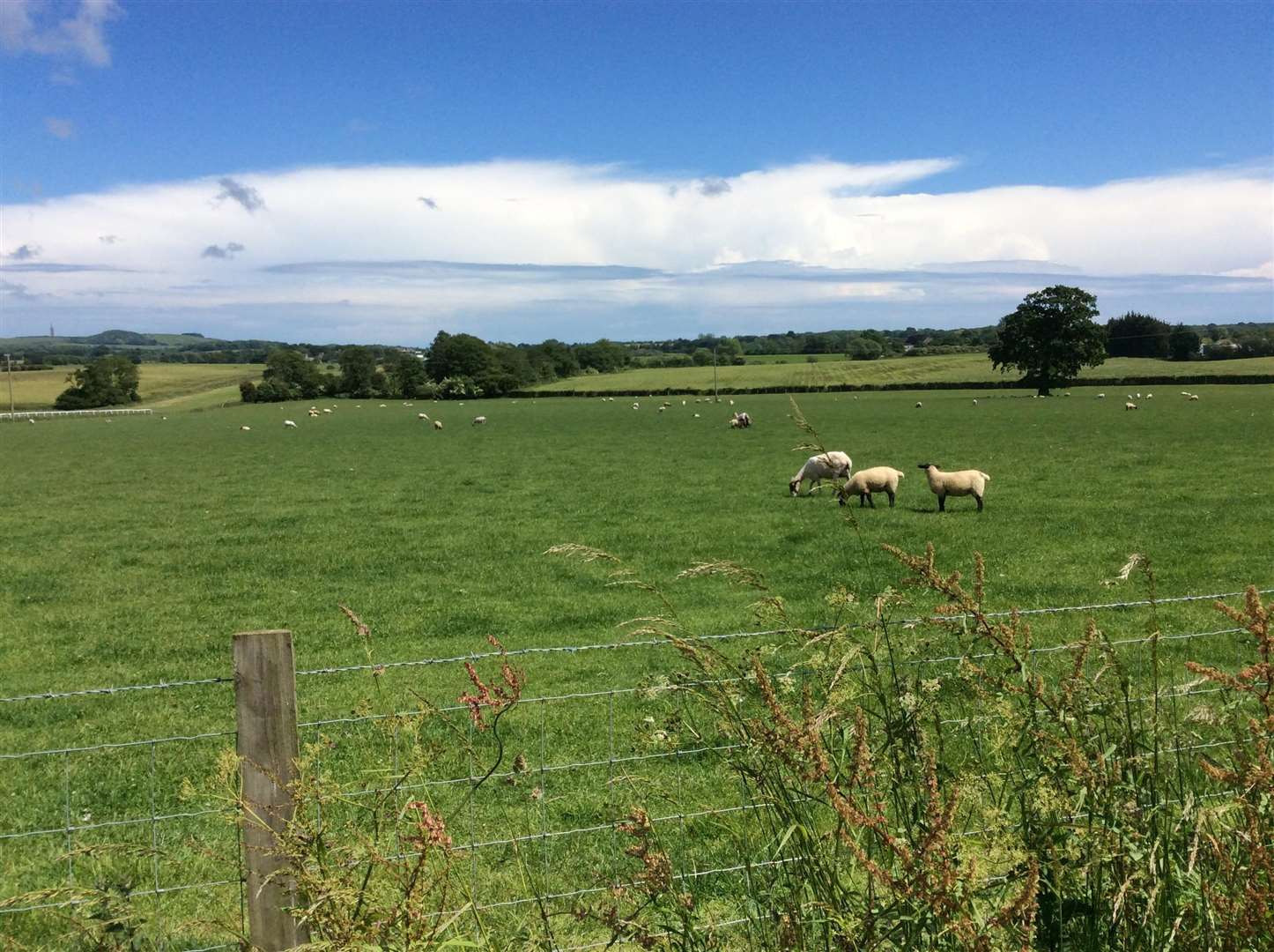 Farmland that could be swallowed up by Otterpool Park