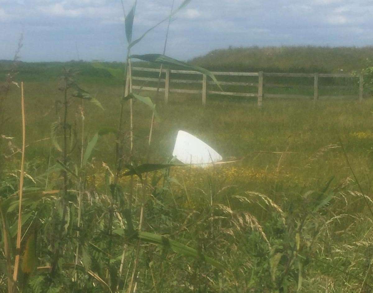 A parking sign was left discarded in a field at Oare Marshes. Picture: Kent Wildlife Trust