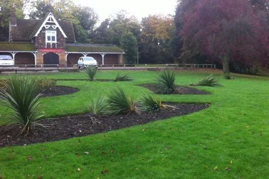 Plants have been ripped out of the ground by vandals.