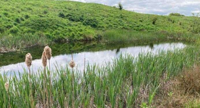 A pond at Deangate Ridge