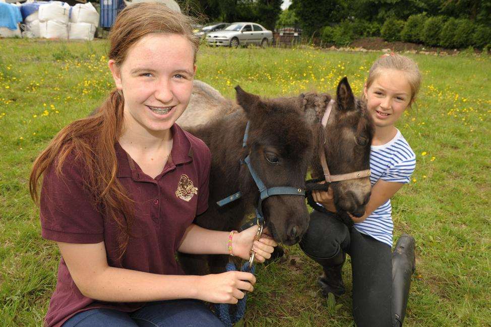 Bella Rabjohns, 8 and Lucy Graves, 12, with Bobby and Quinn.