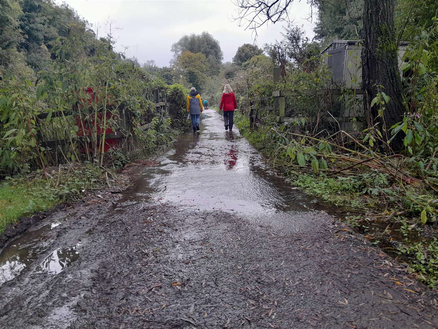 Flooding on the Medway towpath