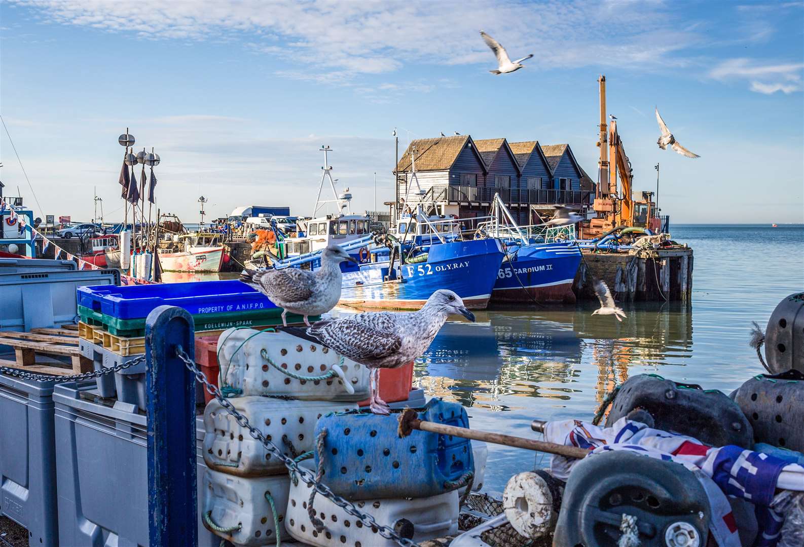 Whitstable harbour