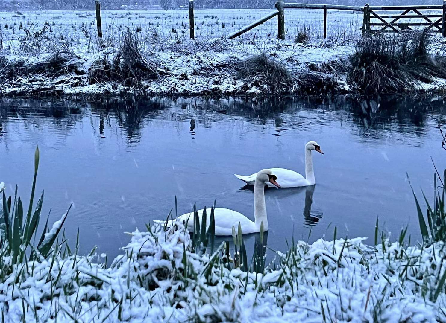 Some beautiful scenes in Chartham, near Canterbury. Picture: Anne Pomeroy