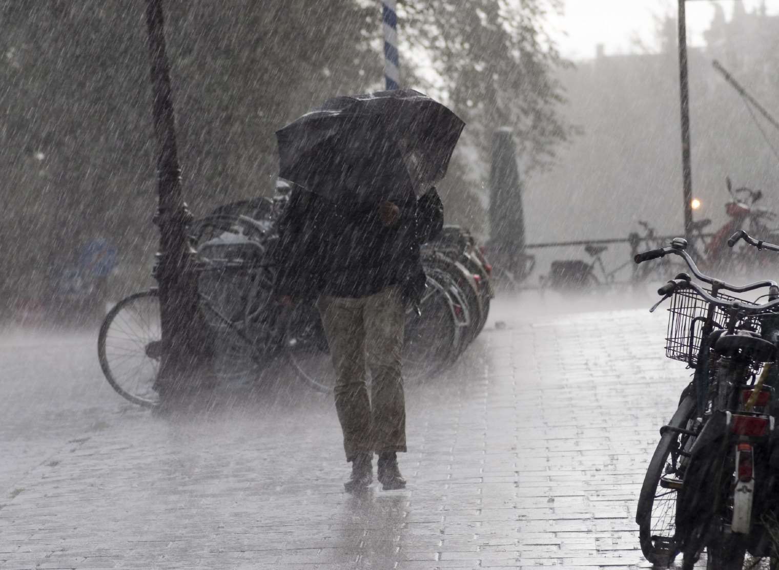 Kent is suffering wet and windy weather. Stock image.