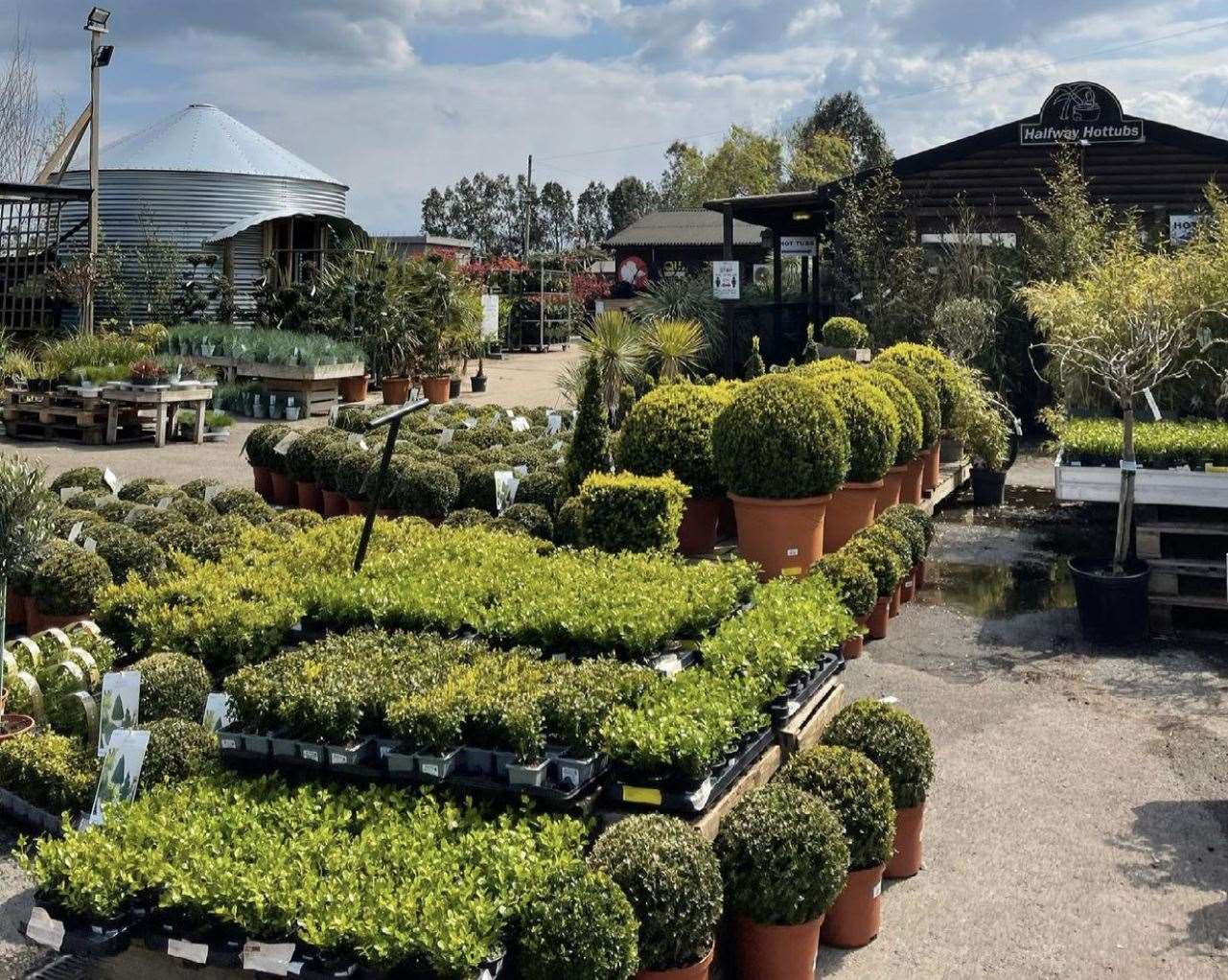 The Stones Garden Centre in Sheerness was raided at about 10.30pm. Picture: Stones Garden Centre