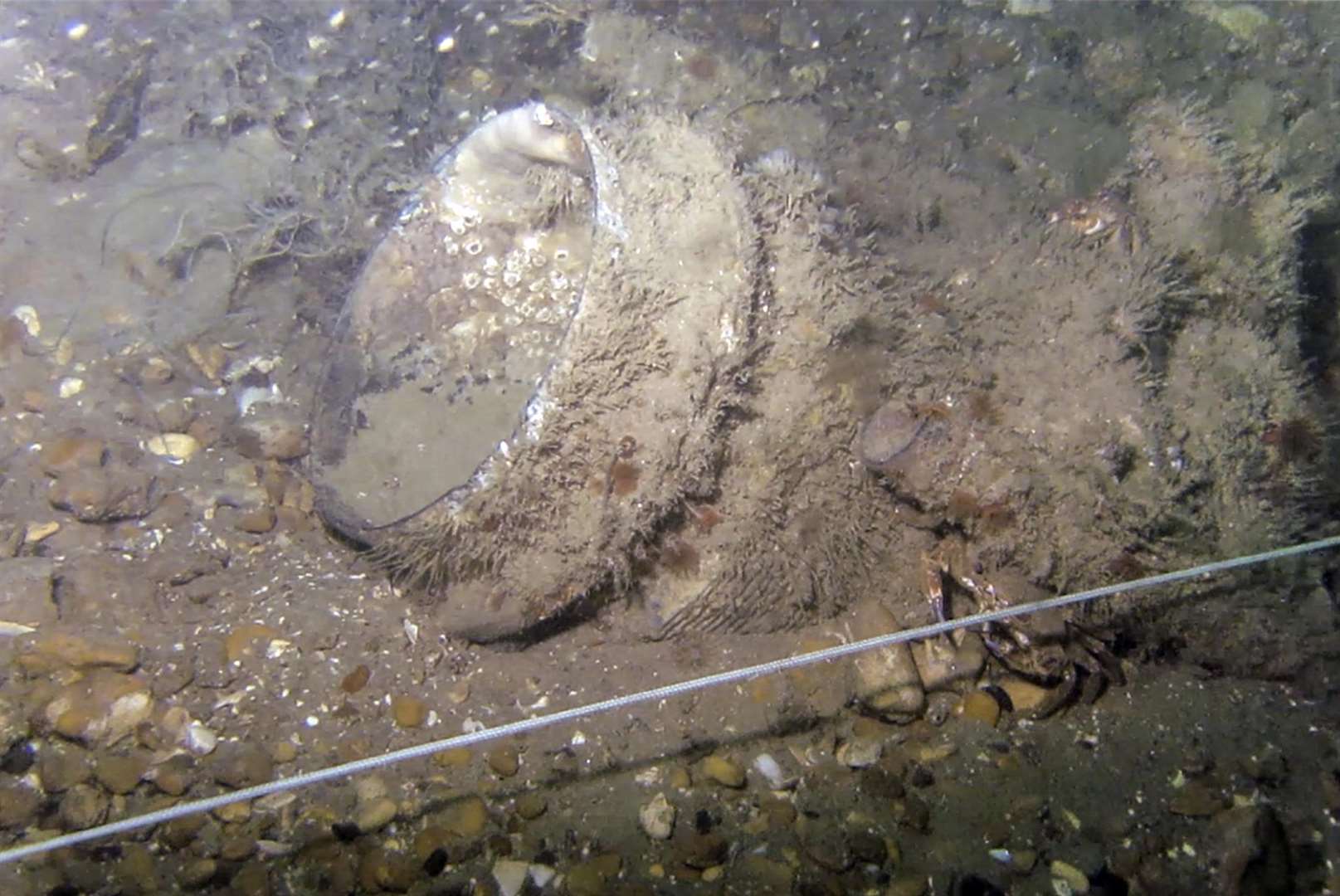 An object, believed to be an unexploded bomb, found in the suspected wartime bomber wreckage. Picture by Vince Woolsgrove and supplied by Goodwin Sands SOS