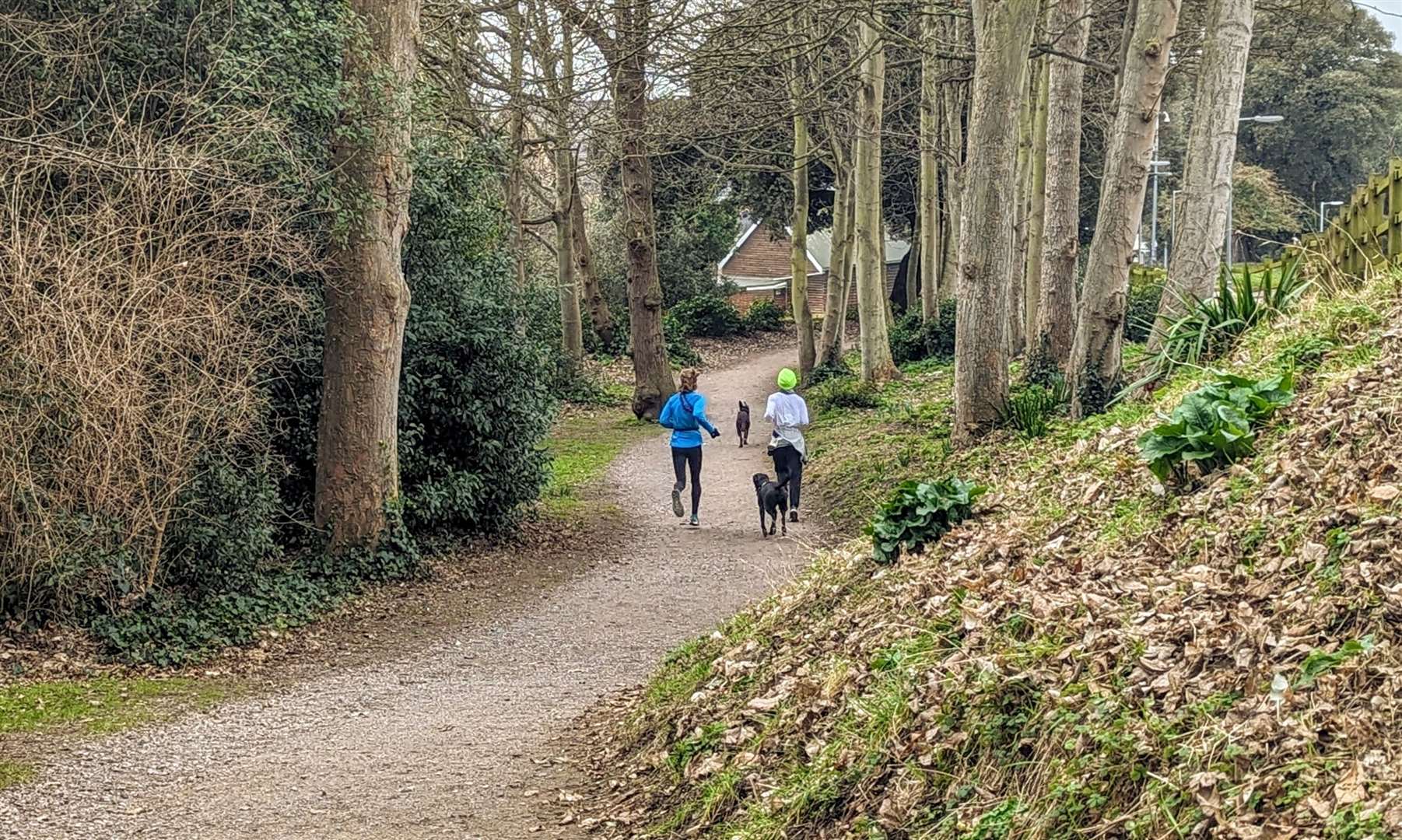 Enbrook Park is regularly used by members of the public for exercise