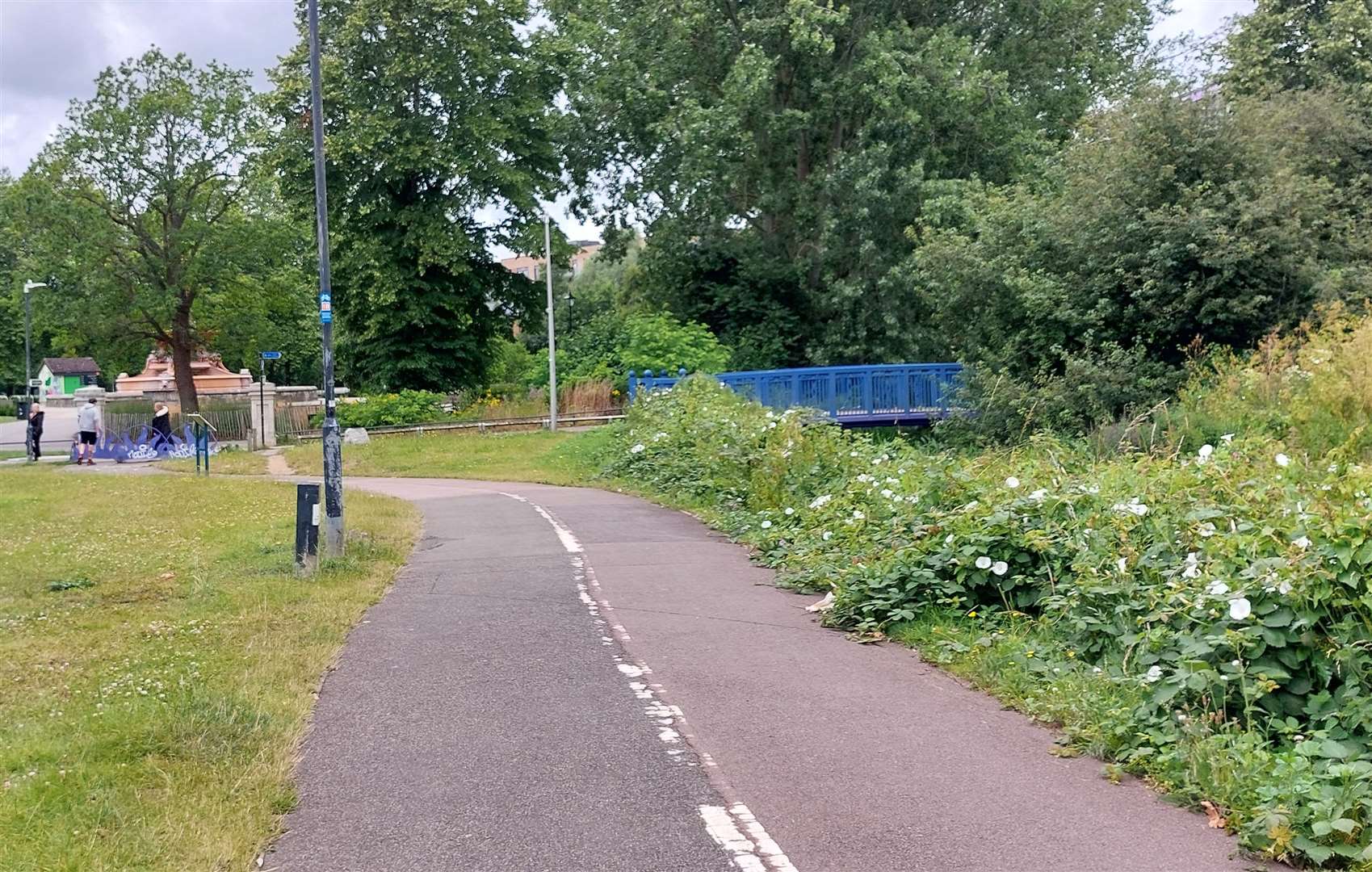 A cordon was put in place at the end of Bowens Field as a precaution