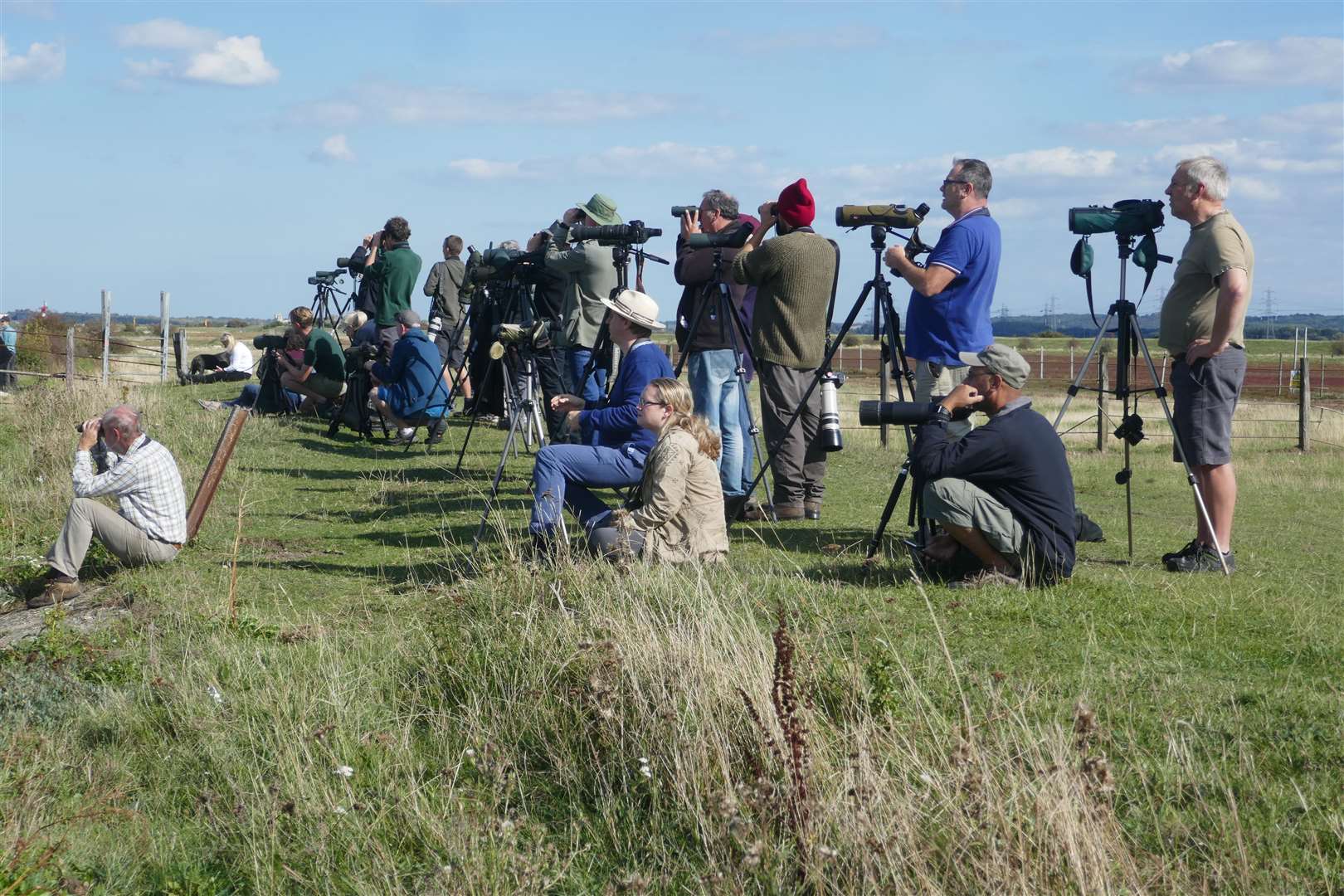 Photographers flocked to try and picture the rare Whale. Picture: Fraser Gray