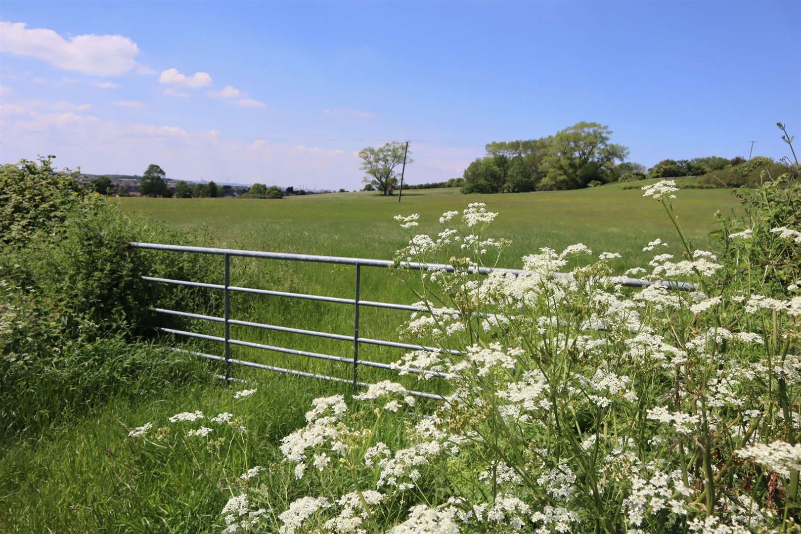 Elm Lane at Minster, Sheppey, where houses are planned