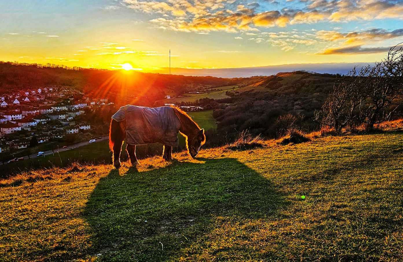 Kyra on the Whinless Down nature reserve overlooking Dover. Picture: Dan Desborough