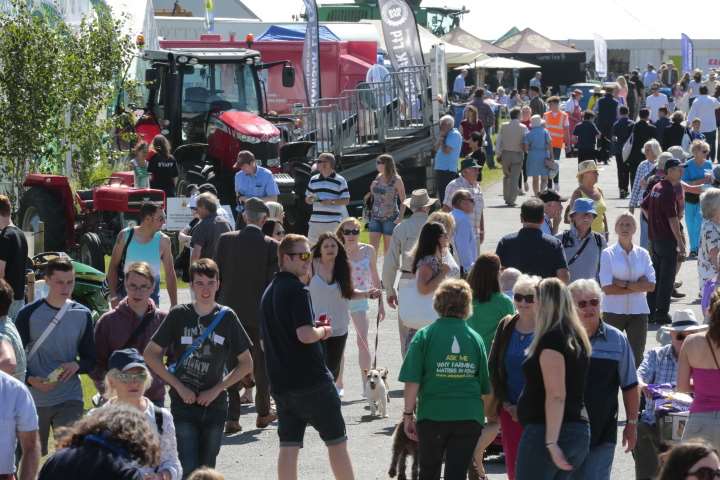 Crowds build on opening day