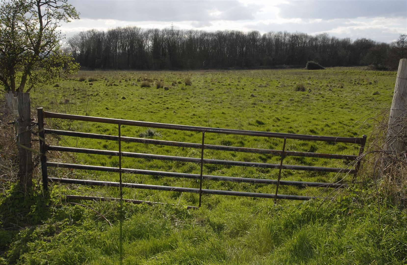 The Bushey Wood site as it is now