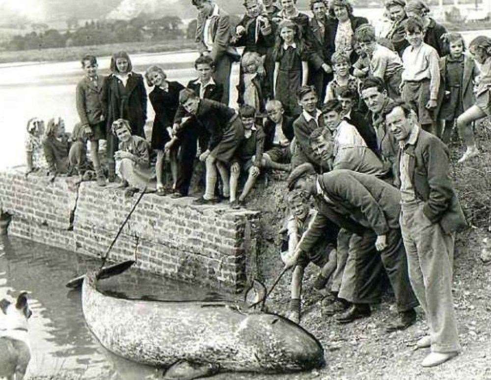 The narwhal, secured in the small inlet behind Wouldham Church