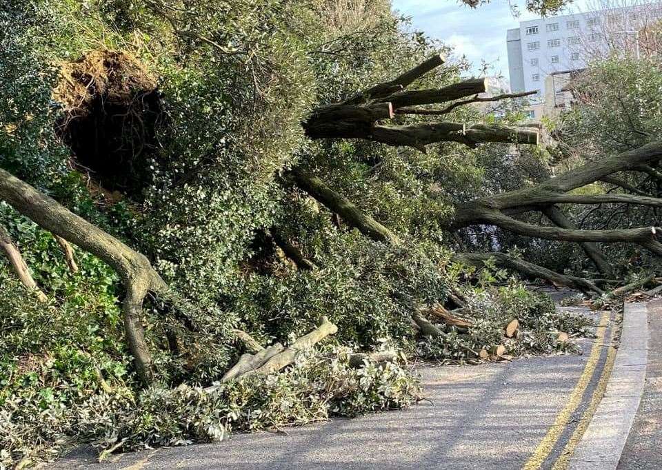 The 'landslip' along the Road of Remembrance in Folkestone. Picture: Stephen West