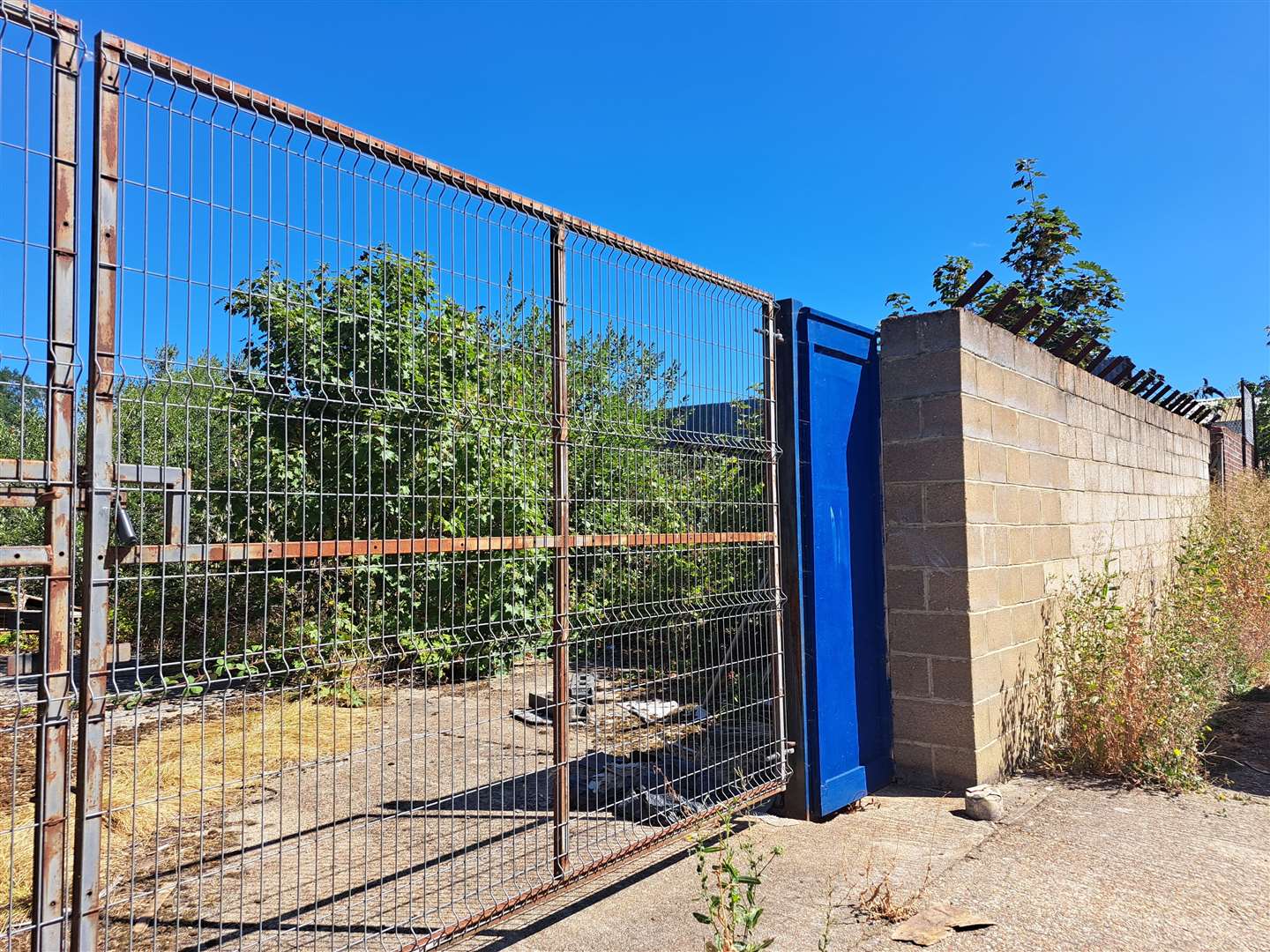 The overgrown site in Eastmead Avenue, Ashford, has been cordoned off for several years