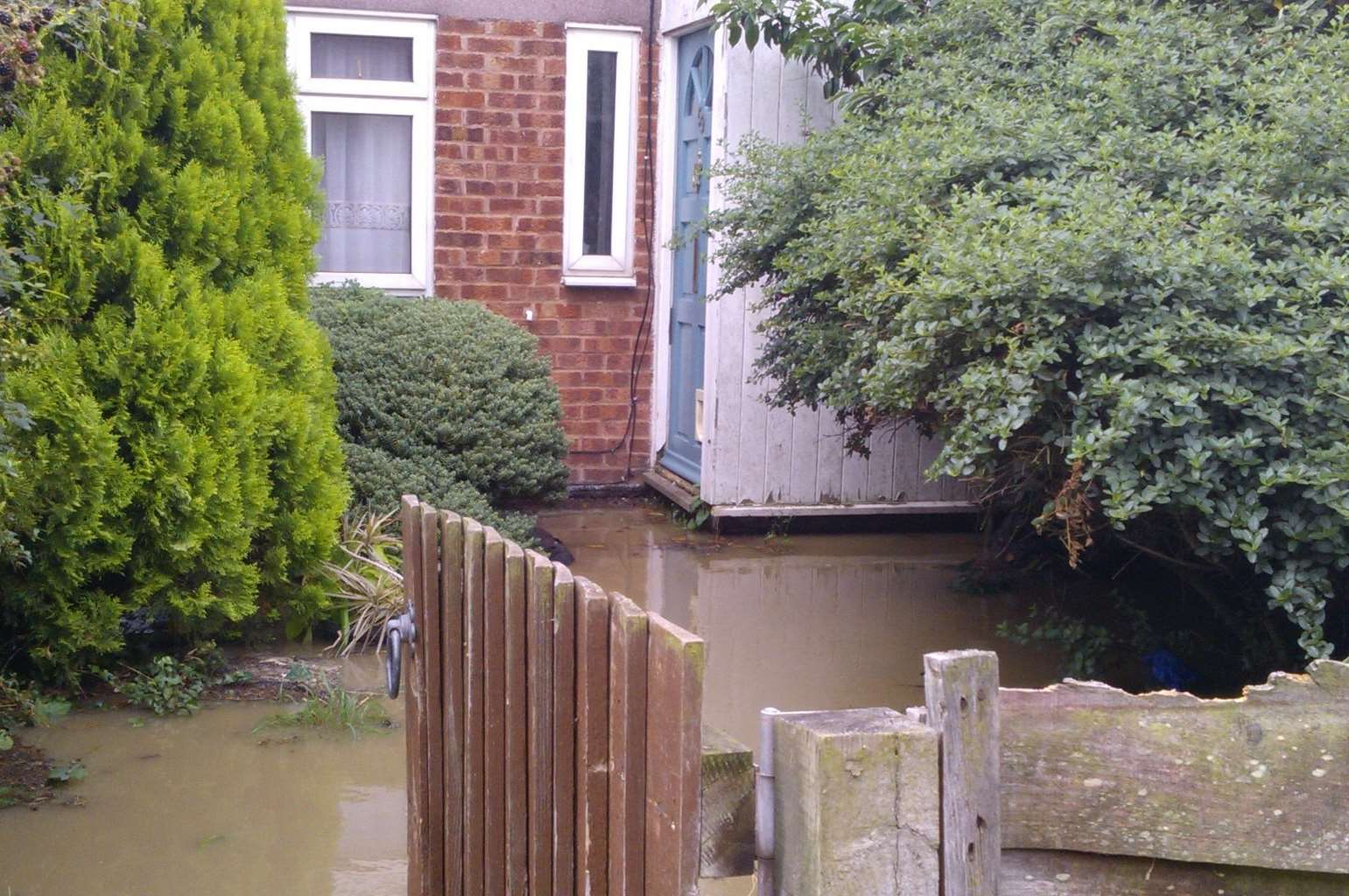 Sewage flooded gardens in Lucerne Drive