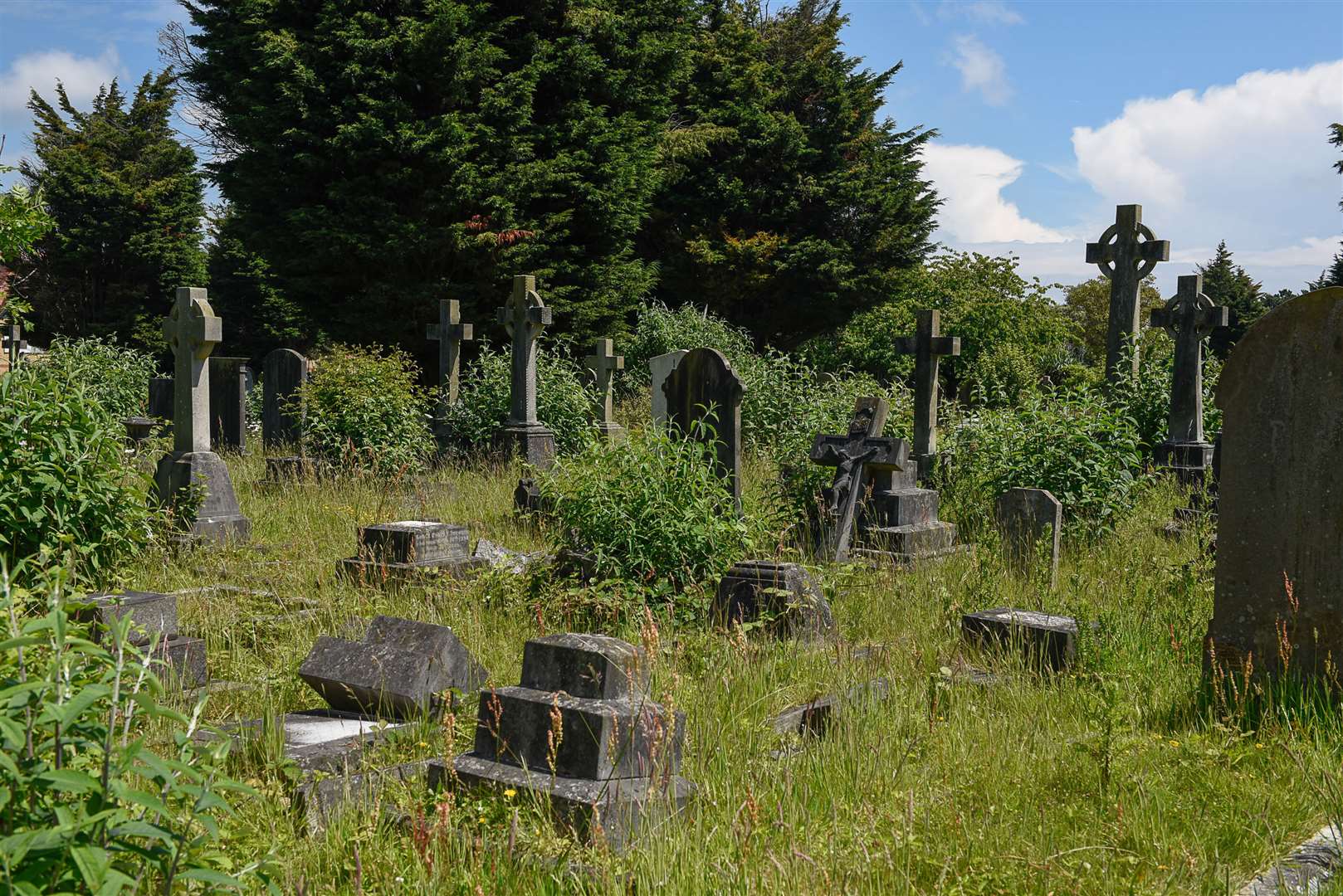 The grass is so long it is starting to overtake some of the grave stones