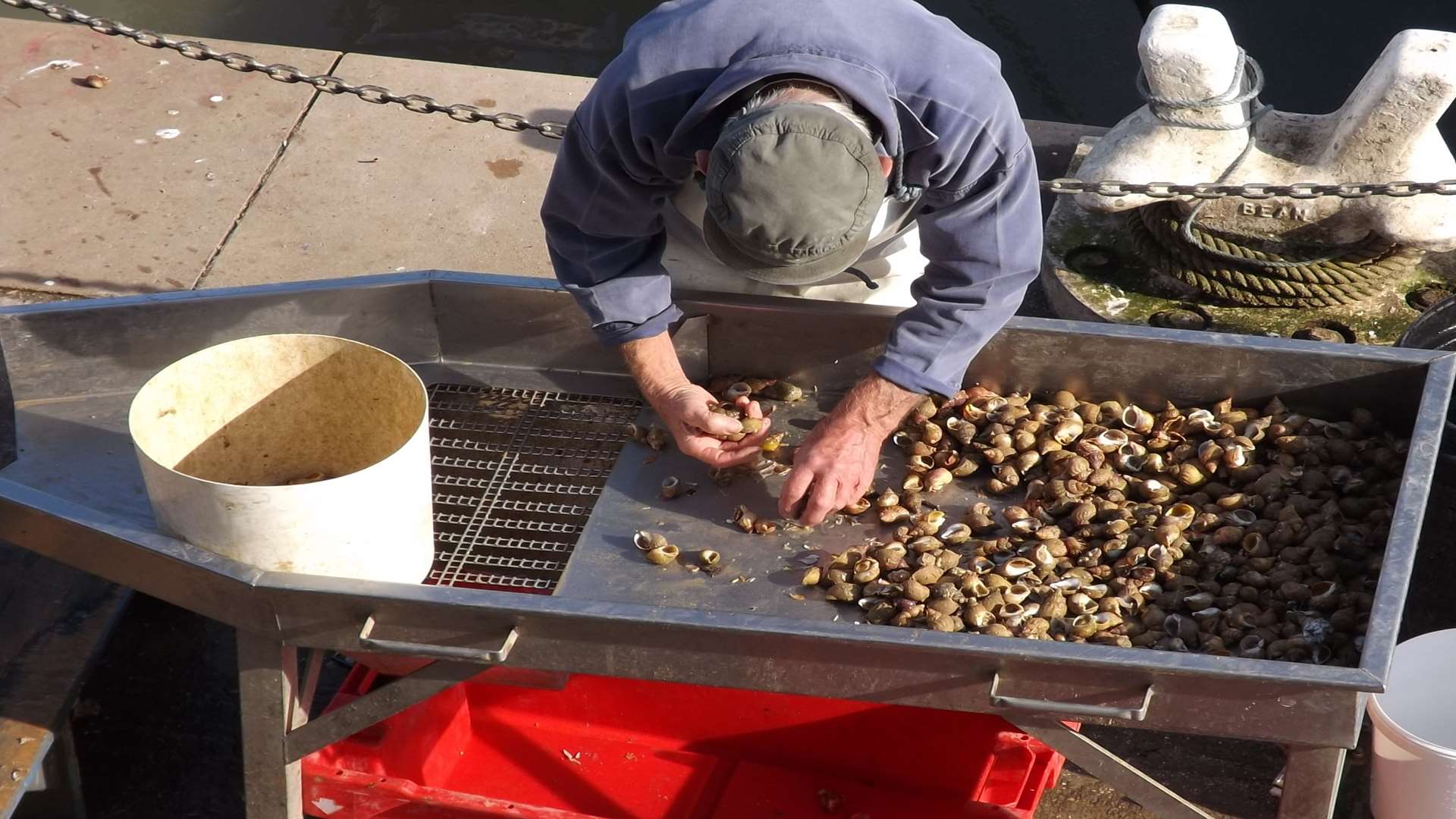 Fishermen sort out whelks