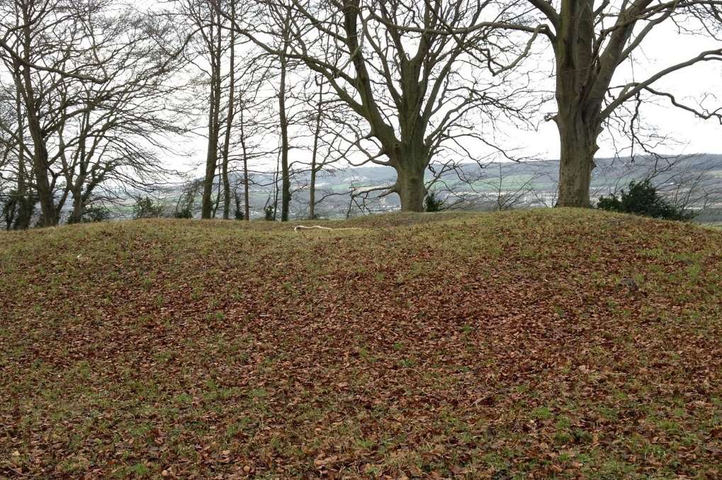 Bronze Age Barrow in Shoulder of Mutton Wood