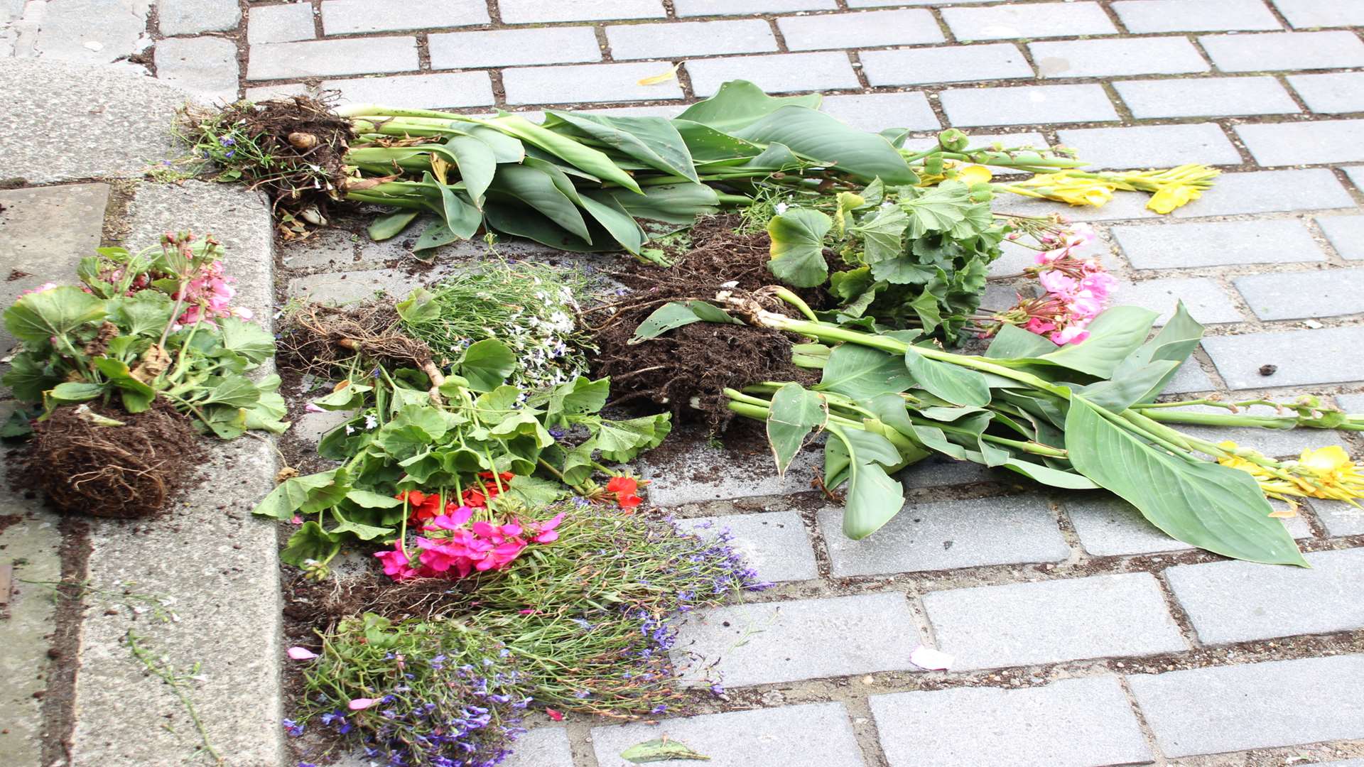 Flowers strewn across the road