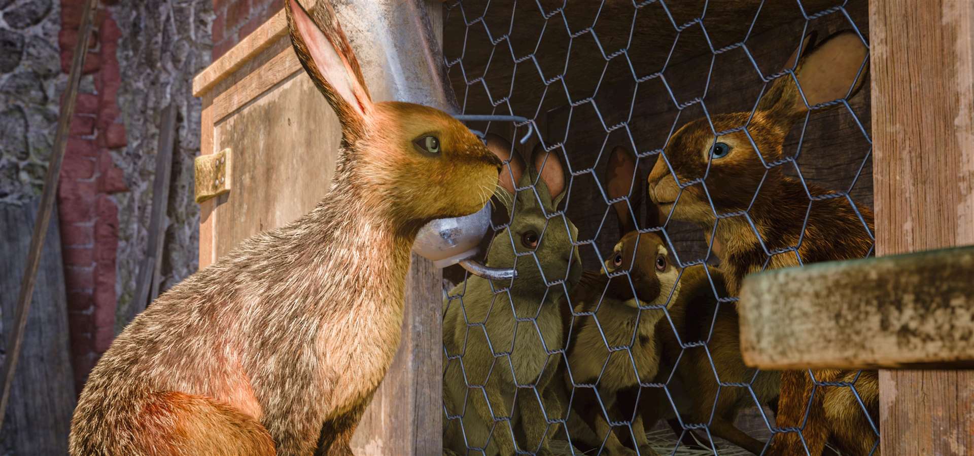 Hazel and Clover speak for the first time Picture: Watership Down